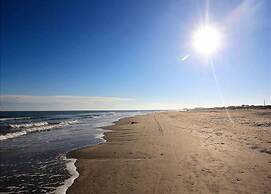 Ir19-on the Half Shell