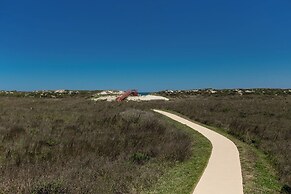 Ir19-on the Half Shell