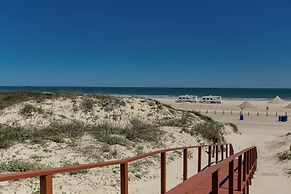 Ir19-on the Half Shell