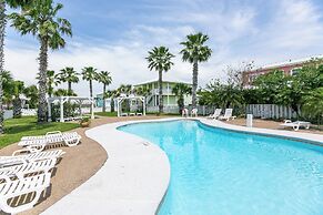 Rs328-porpoise of Life