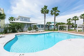 Rs328-porpoise of Life