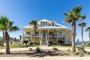 Rs328-porpoise of Life