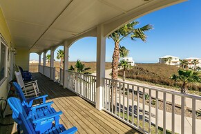 Rs328-porpoise of Life