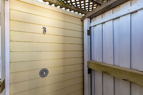 Rs328-porpoise of Life