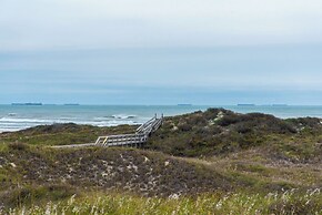 Pp845-salt and Horns