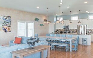 Bb827-turtle Paradise