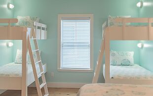 Bb827-turtle Paradise