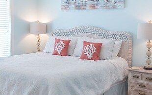 Bb827-turtle Paradise