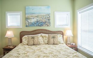 Bb827-turtle Paradise