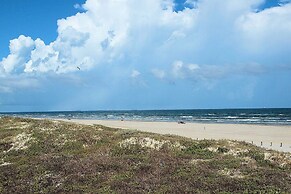 Gbc19-surfin' Seahorse