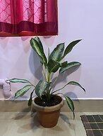 Purnima Resort Neil Island