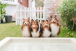 Pet Taitung Homeabout