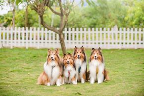 Pet Taitung Homeabout