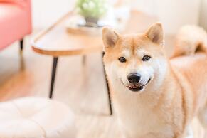 Pet Taitung Homeabout