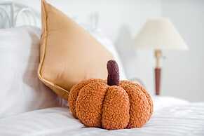 Pet Taitung Homeabout