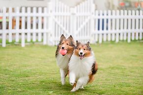 Pet Taitung Homeabout