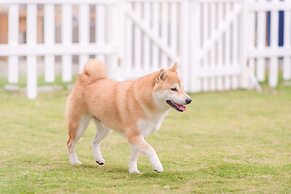 Pet Taitung Homeabout