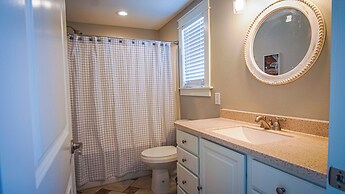 Sdl609-sassy Seahorse