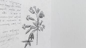 Italianway - Melzo 24