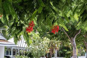 The Porch on Frances Inn