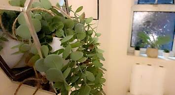 Impeccable 1-bed House in Pontefract