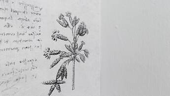 Italianway - Melzo 24