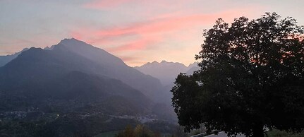 Lo Noyer Et Les Roses