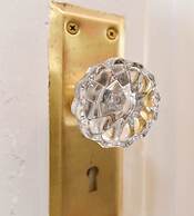 Summertime Pet-friendly 30 min Savannah