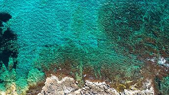 2238 Villa Diletta - Primo Piano by Barbarhouse