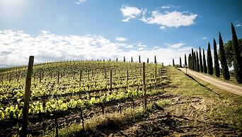 Agriturismo Podere l'Aione