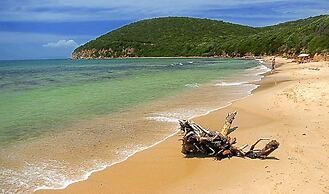 Agriturismo Podere l'Aione