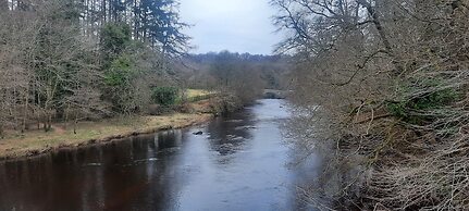 Cozy Lanarkshire Apartment With a View