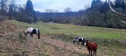 Cozy Lanarkshire Apartment With a View