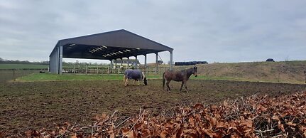 Cozy Lanarkshire Apartment With a View