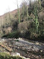 BLS Bungalove Sapanca