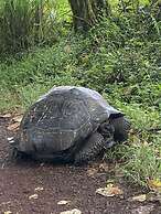 Maidith Galapagos Inn