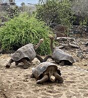 Maidith Galapagos Inn