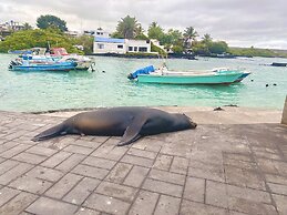 Maidith Galapagos Inn