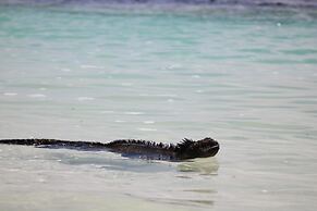 Maidith Galapagos Inn