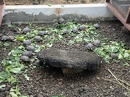 Maidith Galapagos Inn