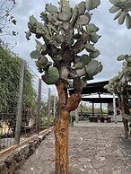 Maidith Galapagos Inn