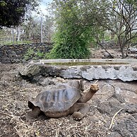 Maidith Galapagos Inn