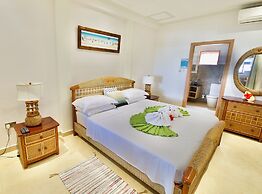 Sea Splash & La Petite Maison