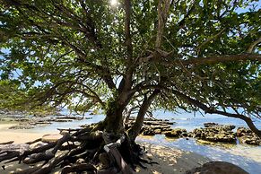 Sea Splash & La Petite Maison