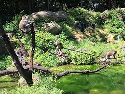 The Wonderkoi House A Magical Japanese Koi Garden