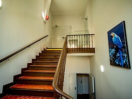 Banana's Camp - Hostel