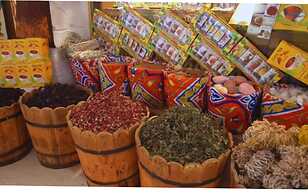 Regency Plaza Aqua Park & SPA