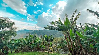 Hotel Campestre El Molino Dapa Cali