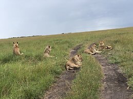 Explore Mara Camp