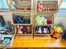 Glamping Village LEAF